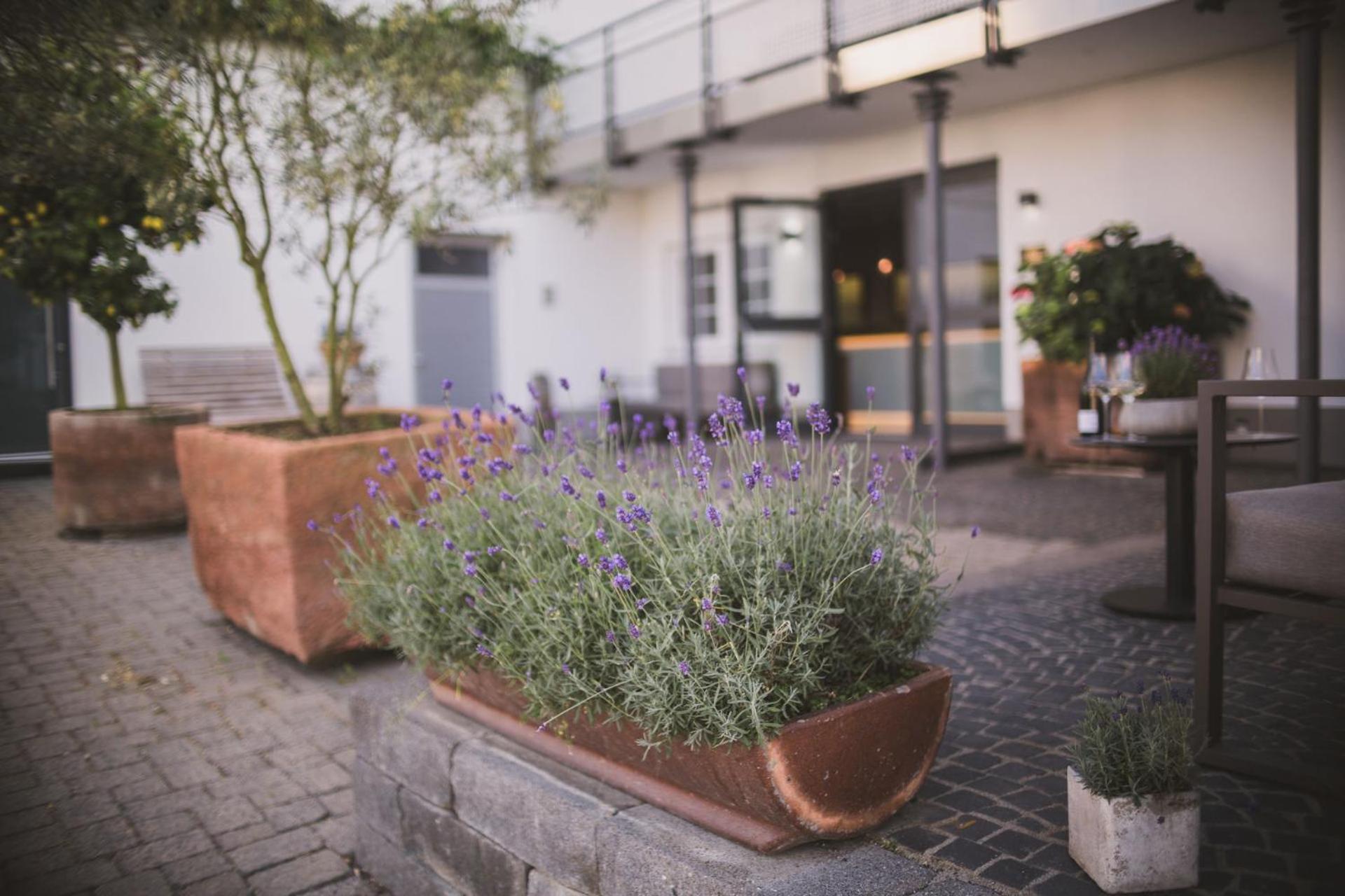 Weingut Gehlen-Cornelius Hotel Brauneberg Luaran gambar